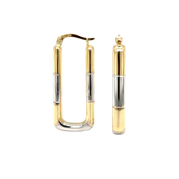 Two Tone Hoop Earrings